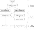 HumanProcessorModel
