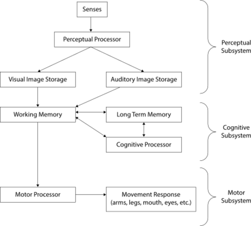 HumanProcessorModel.svg