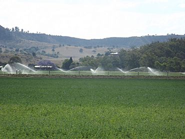 Irrigation at Winwill.jpg