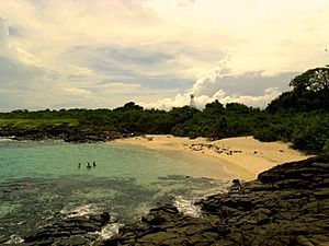 Isla-Iguana-Wildlife-Refuge-Beach.jpg