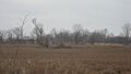 Jackson Mound near Pancoastburg