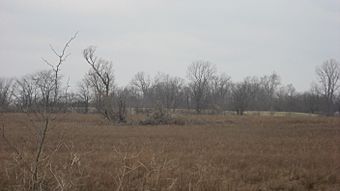 Jackson Mound near Pancoastburg.jpg