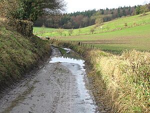 Jumping Downs, nature reserve - geograph.org.uk - 335609