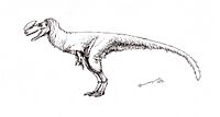 Kileskus aristotocus.jpg