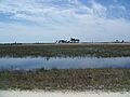 Kissimmee Prairie PSP01