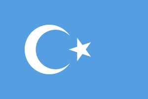 Kokbayraq flag