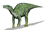 Kritosaurus BW
