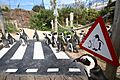 LC Penguin crossing