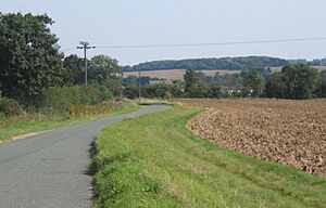 Lane towards Shimpling - geograph.org.uk - 971746