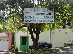Montes Llanos Facts for Kids