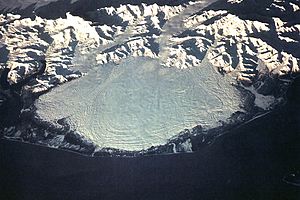 Malaspina Glacier from space