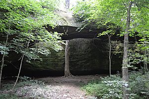 Mantle Rock, bridge and nearby trees