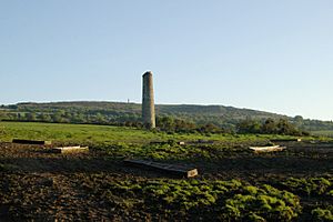 Mine Chimney, near Luckett, Cornwall - geograph.org.uk - 178807