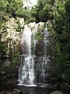 Minnamurra Falls in Budderoo National Park.jpg