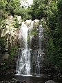 Minnamurra Falls in Budderoo National Park