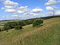 Morgan's Hill - geograph.org.uk - 1564963