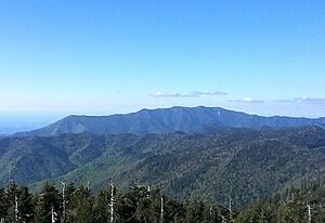 Mt. LeConte Clingmans Dome 05-31-20