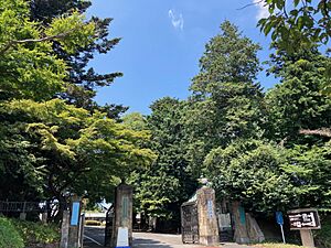 National Astronomical Observatory of Japan