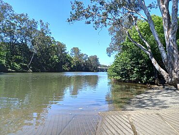 Nerang River at Nerang, Queensland, Australia.jpg