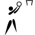 Netball pictogram