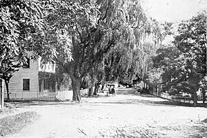 New Suffolk, New York (1901)