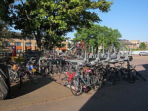 New bike racks, Cambridge station - geograph.org.uk - 3109595