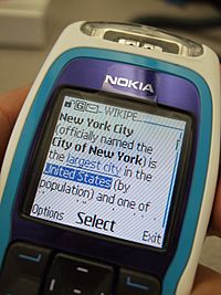Nokia 3220 - Mobile version of wikipedia