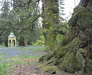 Ornamental structure in woodland walk, Capesthorne Hall - geograph.org.uk - 440809