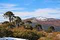 Parque Nacional Villarrica 14