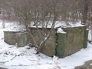 Paw Paw Creek Bridge No. 52 remnants