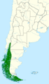 Phalcoboenus albogularis map