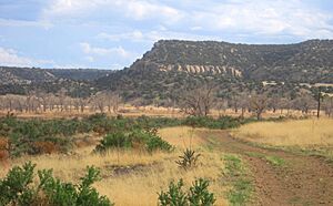 Picketwirecanyon