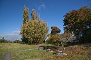 Picnic Tables in Fowlds Park - 4627856301