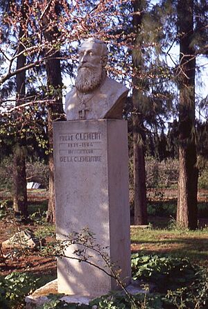 Pierre tombale Frère Clément