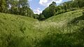 Pingle Cutting 2