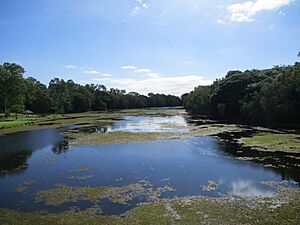 River Way, A park including area of Ross River.