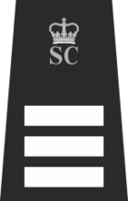 SCI with Crown