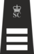 SCI with Crown.svg