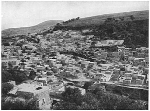 Safed1908