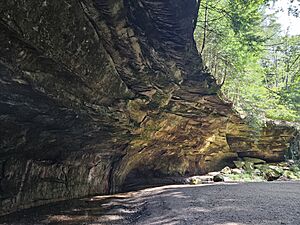 Sandstone gorges at Turkey Run State Park, Indiana