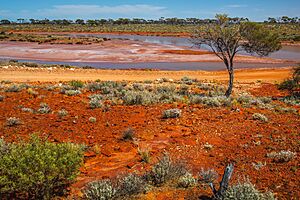 Scene in Lake Gairdner National Park, South Australia