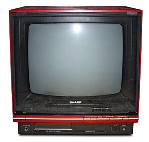 Sharp C1 NES TV 14C-C1F