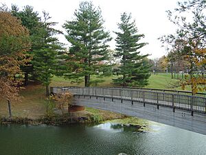 Siue bridge