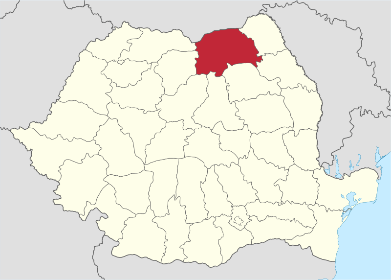 Suceava in Romania