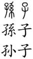 Sunzi (Chinese characters)