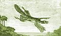 Tetrapteryx