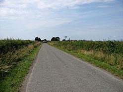 The road to Cardurnock - geograph.org.uk - 3590885.jpg