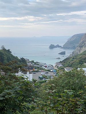 Trevaunance Cove, St.Agnes, Cornwall from Wheal Friendly