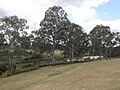 Unnamed park, Basin Pocket, Queensland