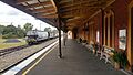 Werris Creek Station Platform 1